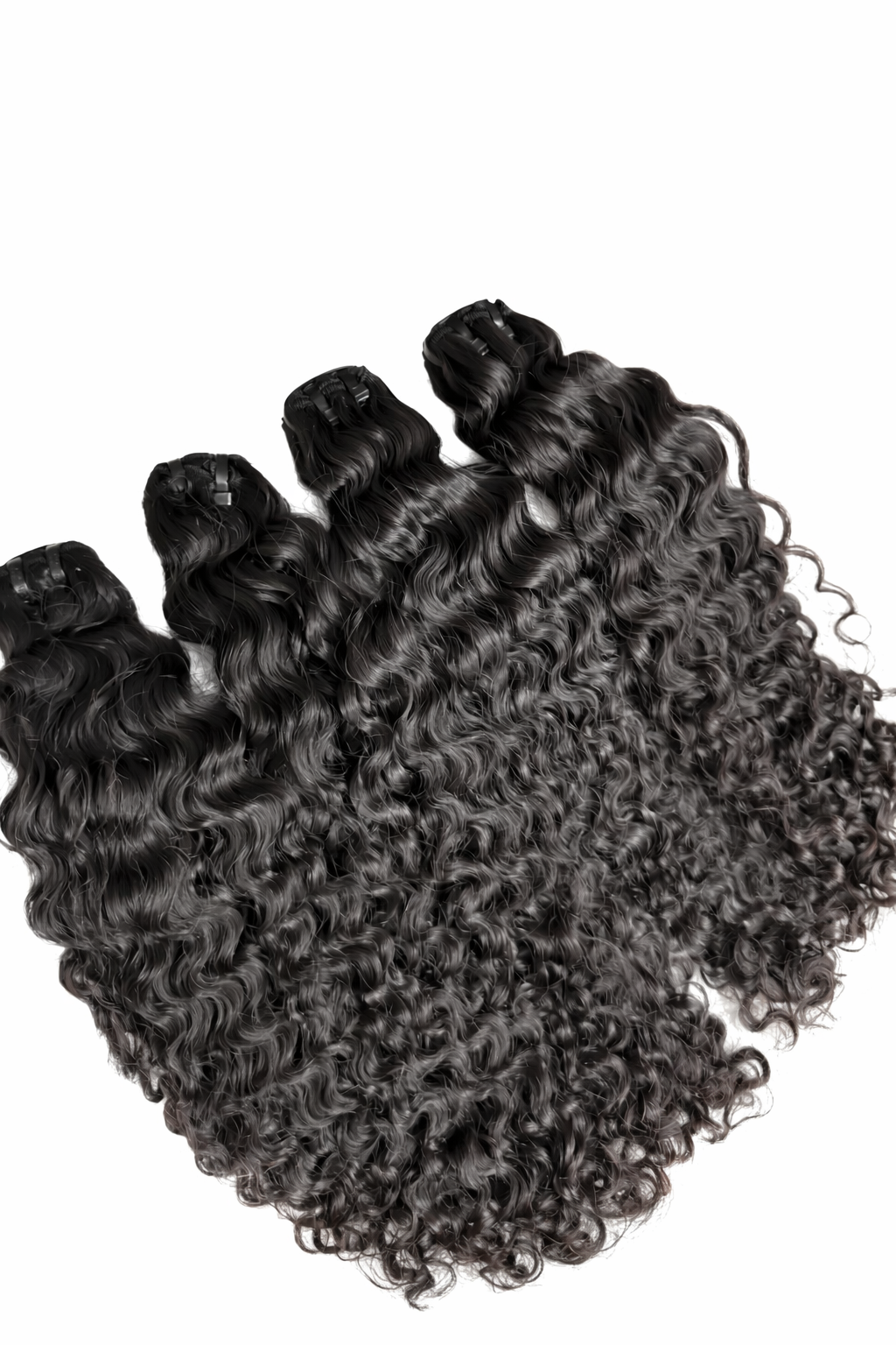 Raw Burmese Curly